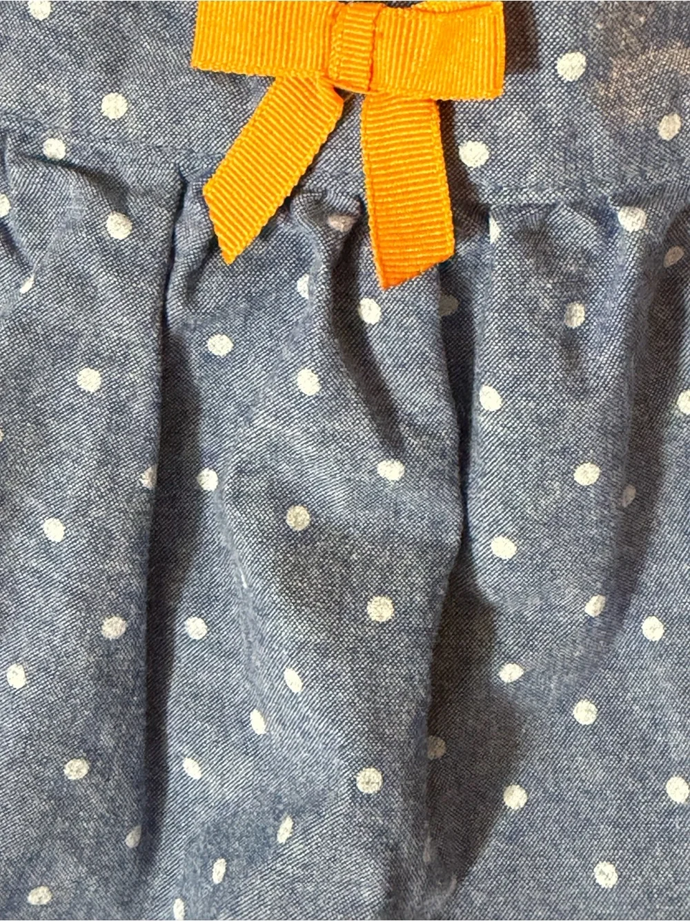 Gymboree playful blue